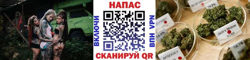 Цена Андреаполь Каннабис  Альфа ПВП  Героин  КОКАИН  ГАШ  Псилоцибиновые грибы 