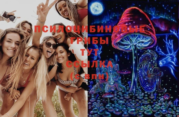 mdpv Магас