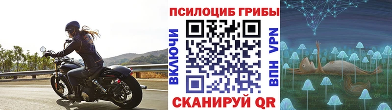Псилоцибиновые грибы прущие грибы Андреаполь